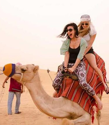 Camel And Horse Riding