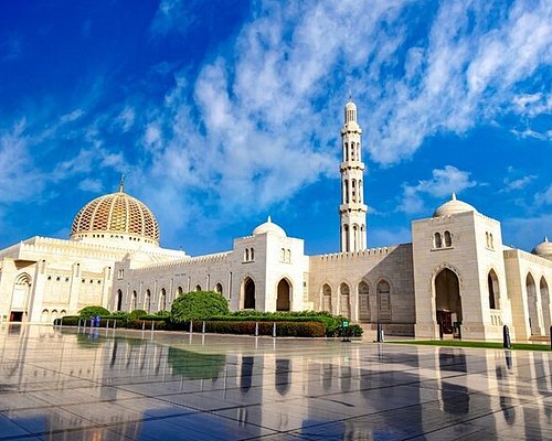 Amazing Muscat Tour