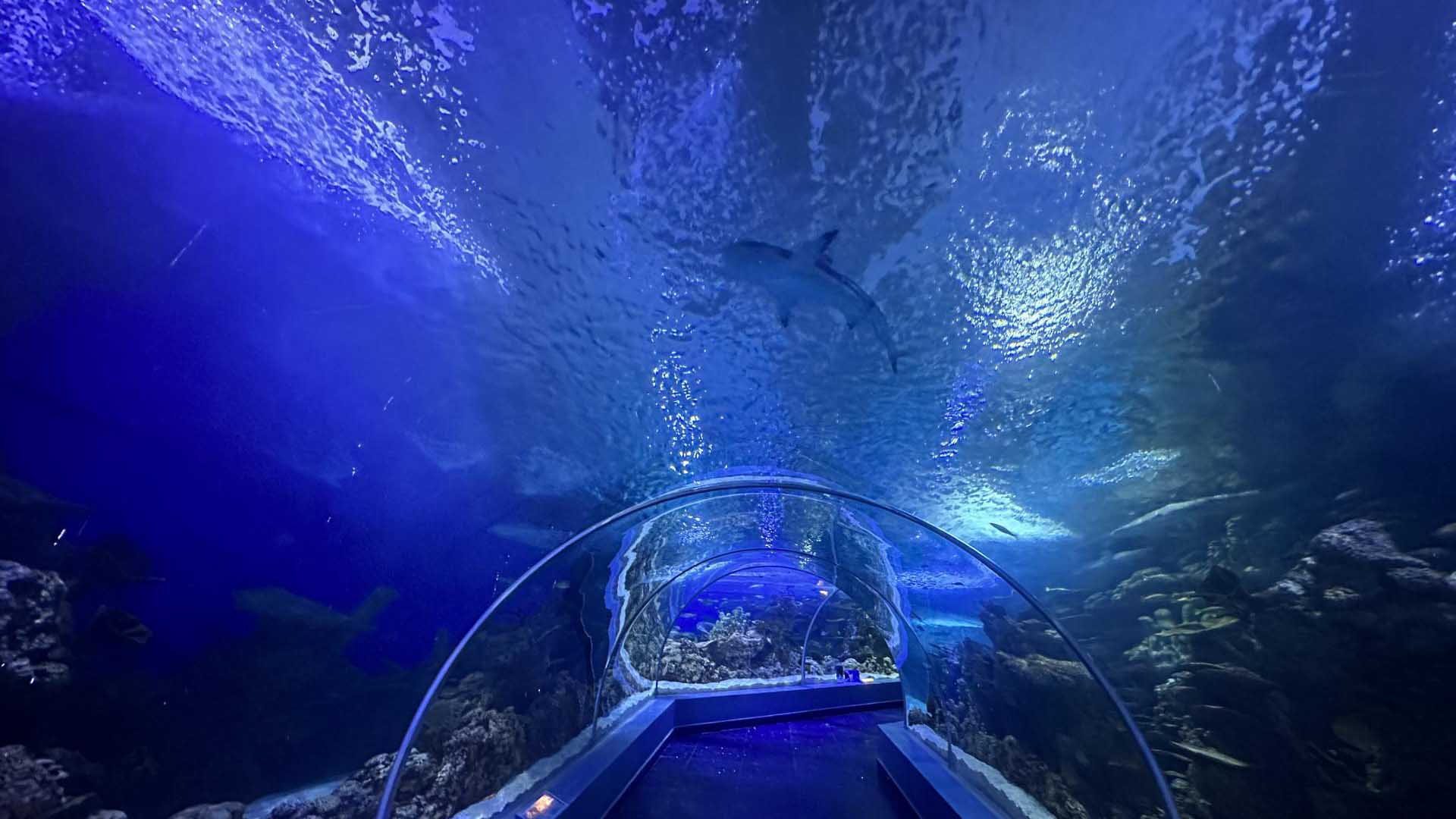 Jeddah, Saudi Arabia