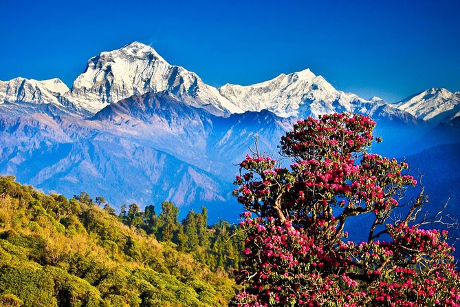Kathmandu and Pokhara