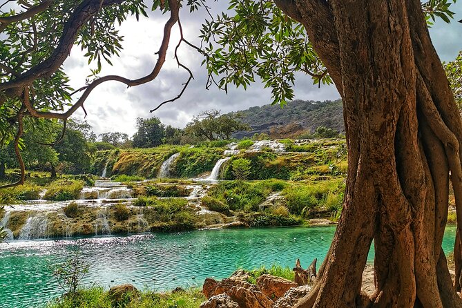 The Best of Salalah