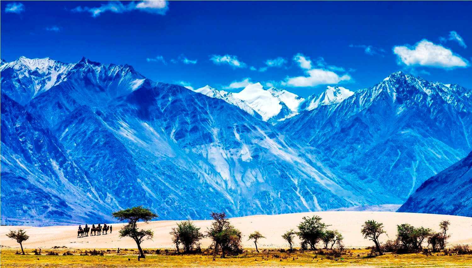 Ladakh With Nubra Valley
